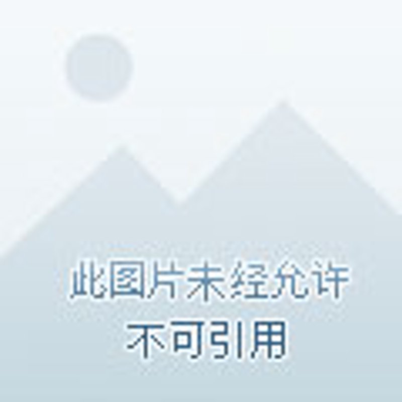 日用百货市场的变化与趋势